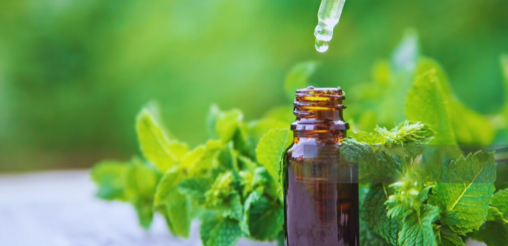 Menthol and Mint Products