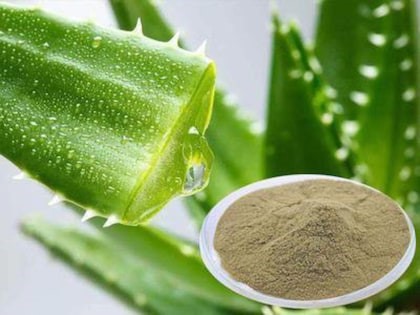   Aloe Vera Extract