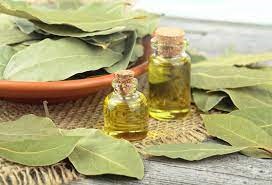 Bay Leaf oil