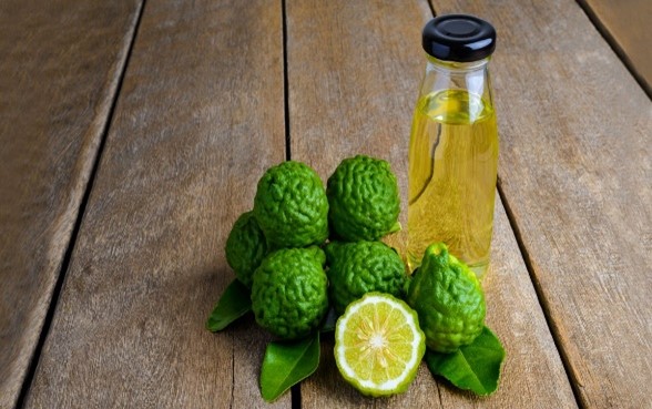 Bergamot oil