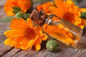 Calendula oil