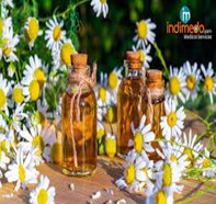 Chamomile oil