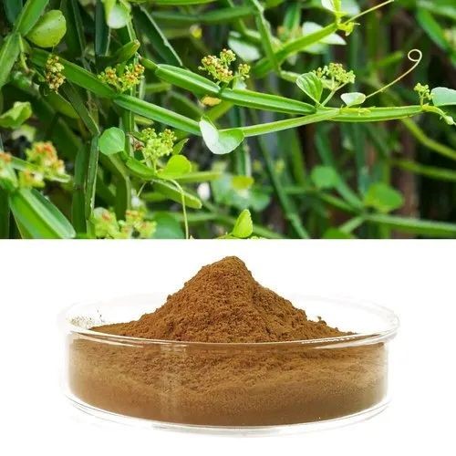 Cissus Extract 