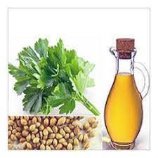 Coriander oil