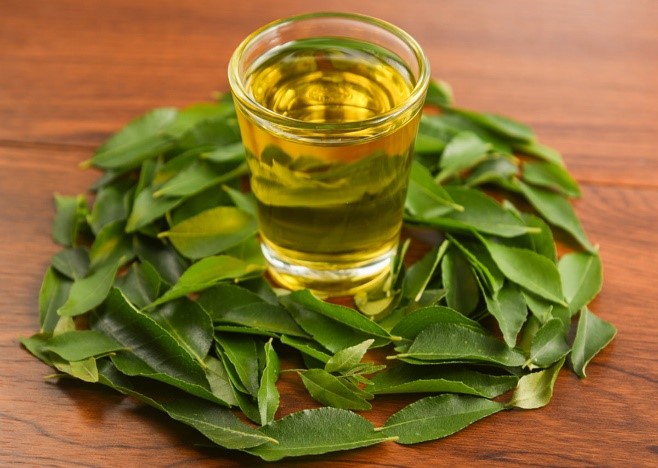 Curry Leaf oil