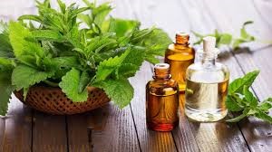 Dementholised Mint Oil (DMO)