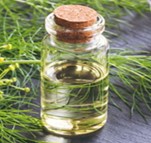 Fennel oil