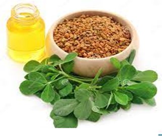 Fenugreek Seed oil