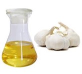 Garlic oil