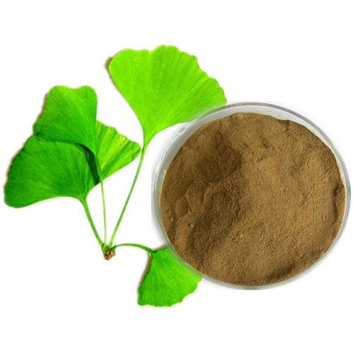 Ginkgo Biloba Extract 