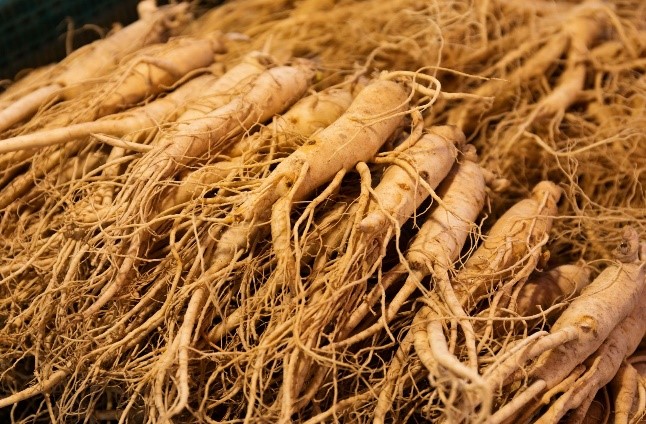 Ginseng Extract