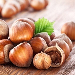 Hazelnut oil