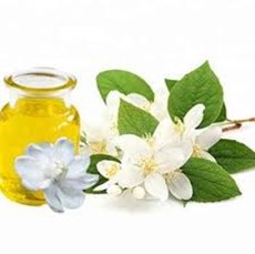 Jasmine oil