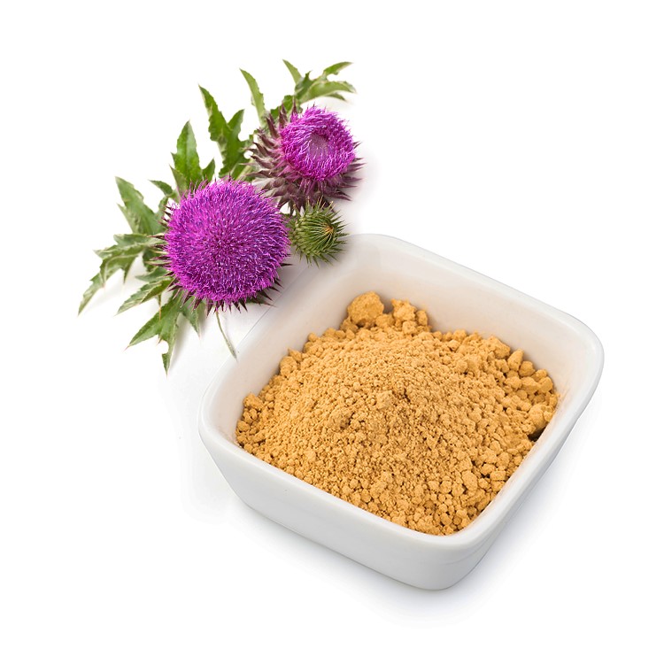 Milk Thistle Extract 