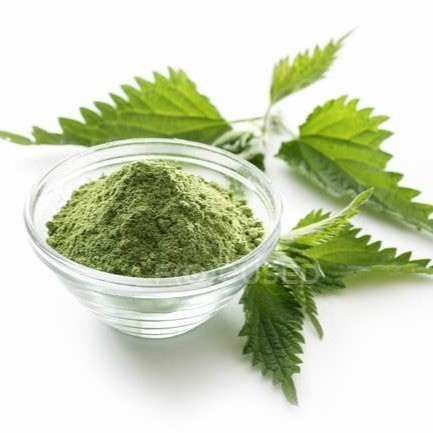 Nettle extract 