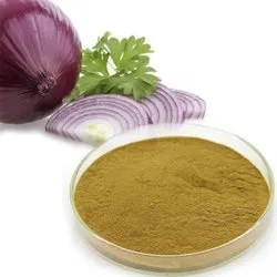 Onion extract 