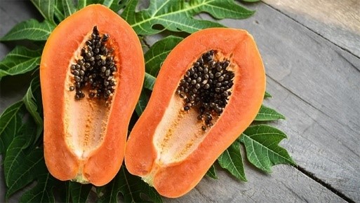 Papaya Extract 