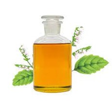 Patchouli oil