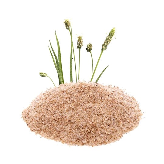 Psyllium Husk 