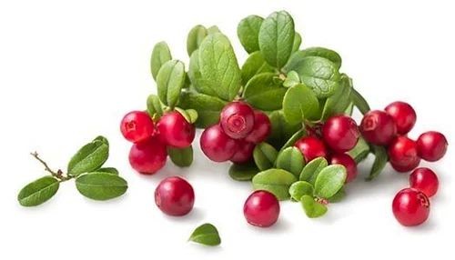 Rosehip extract 