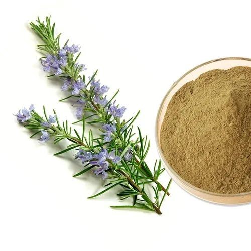 Rosemary Extract