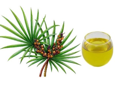 Sawpalmetto oil