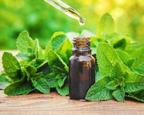 Spearmint oil IP/BP/USP