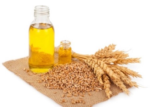 Wheat germ oil