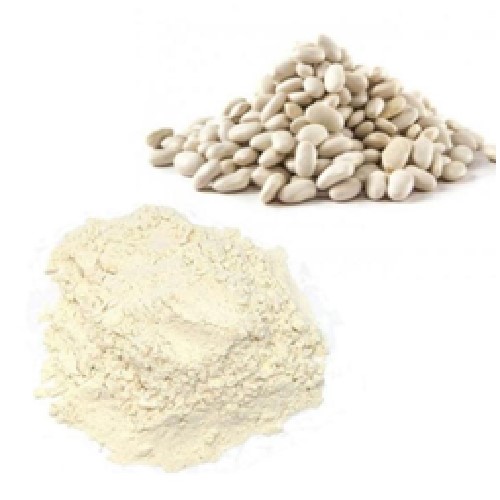 White Kidney Bean Extract 